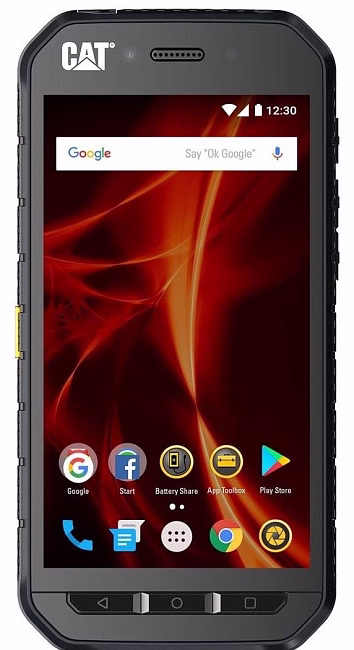Смартфон Caterpillar Cat S41 3GB/32GB