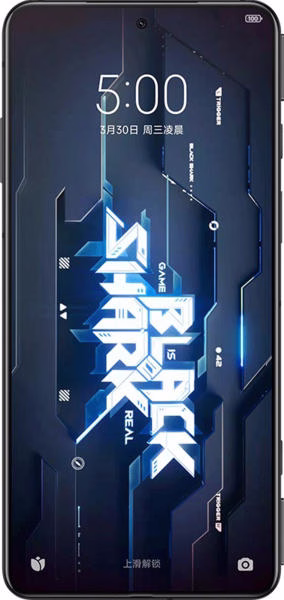 Смартфон Black Shark 5 8GB/128GB